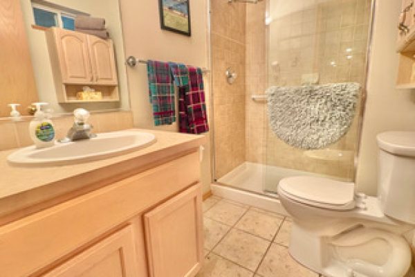 Twin Lakes Duplex - Bath