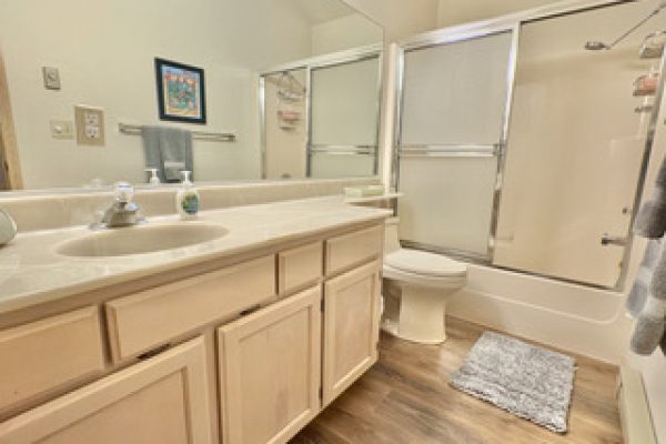 Twin Lakes Duplex - Bath