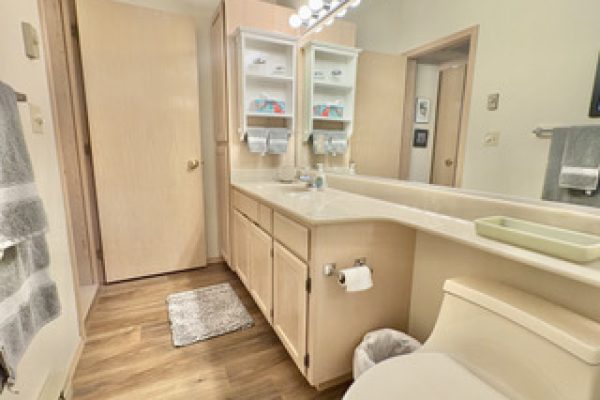Twin Lakes Duplex - Bath